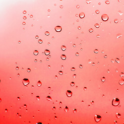 Similar image 3001059