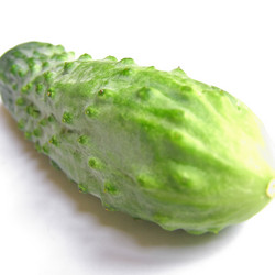 Similar image 3001069