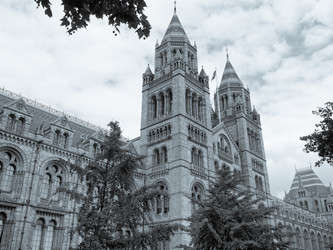 Similar image 3001088