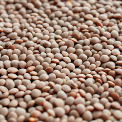 Similar image 3001097