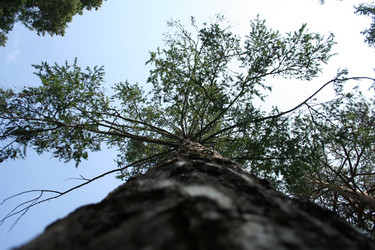 Similar image 3001115