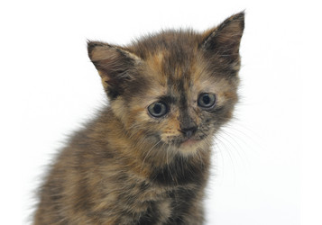 Similar image 3001123