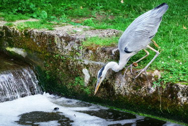 Similar image 3001175