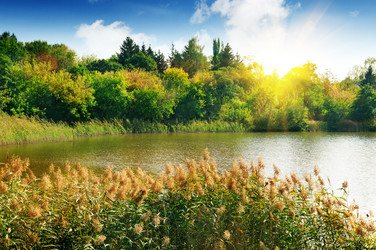 Similar image 3001197