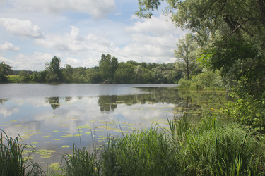 Similar image 3001204