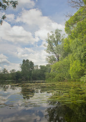 Similar image 3001205