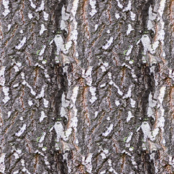 Similar image 3001285