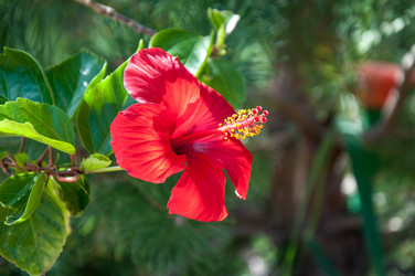 Similar image 3001333