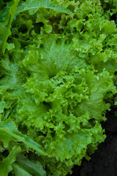 Similar image 3001334