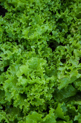 Similar image 3001338