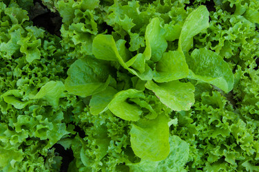 Similar image 3001339