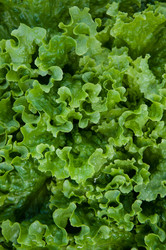 Similar image 3001340