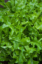 Similar image 3001341