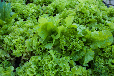 Similar image 3001342