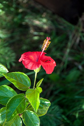 Similar image 3001343