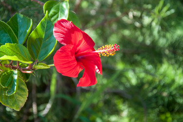 Similar image 3001344