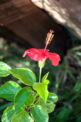 Similar image 3001345