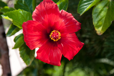 Similar image 3001347