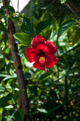 Similar image 3001348