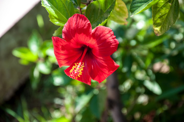 Similar image 3001351