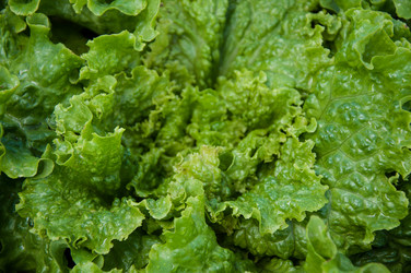 Similar image 3001352