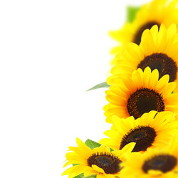 Similar image 3001382