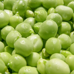 Similar image 3001660