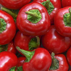 Similar image 3001661