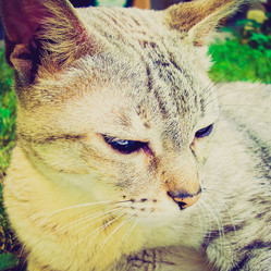 Similar image 3001690