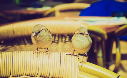 Similar image 3001704