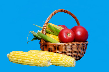 Similar image 3001730