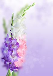 Similar image 3001994