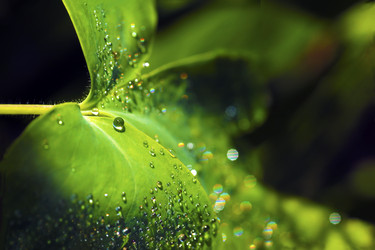 Similar image 3002002