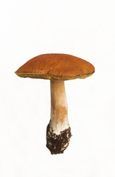 Similar image 3002003