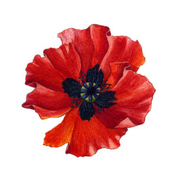 Similar image 3002018