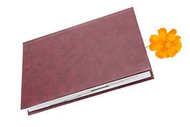 Similar image 3002039