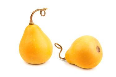 Similar image 3002040