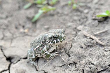 Similar image 3002047