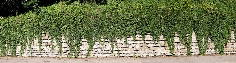 Similar image 3002056