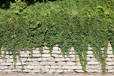 Similar image 3002059