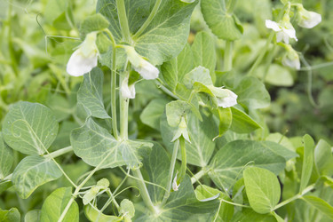 Similar image 3002074