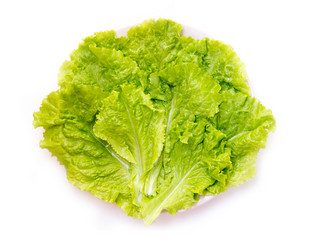 Similar image 3002077