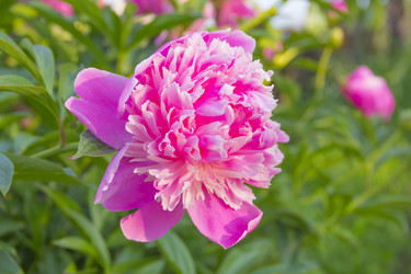 Similar image 3002078