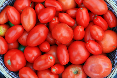 Similar image 3002114