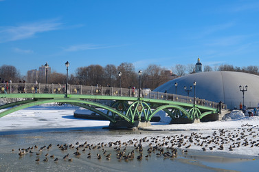 Similar image 3002141