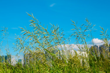 Similar image 3002145