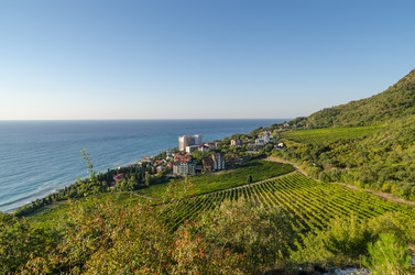 Similar image 3002285