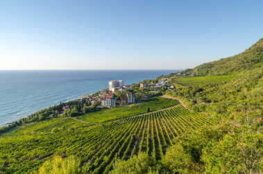 Similar image 3002287