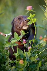 Similar image 3002299