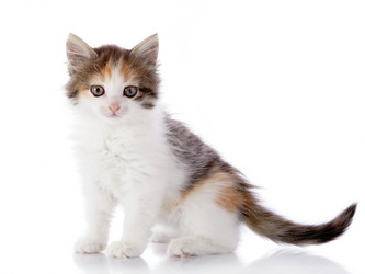 Similar image 3002300